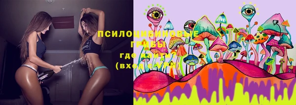 mdpv Верхний Тагил