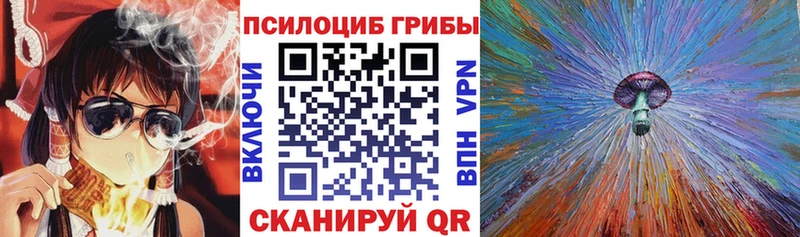 что такое наркотик  Воскресенск  Псилоцибиновые грибы Psilocybine cubensis 