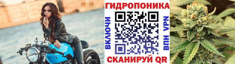 Конопля SATIVA & INDICA  OMG tor  Воскресенск  где можно купить  